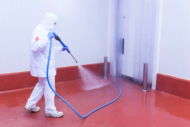 Best Winterizing Services  in Islamorada Village Of Islands, FL